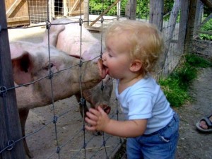 kidlickspig kidlickspig